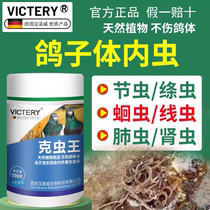 Hannover Kerbug King Clear Body Parasite Roundworm Nematodes Nematodes Tapeworm Pigeon Parrot Racing Pigeon Racing Pigeon Special