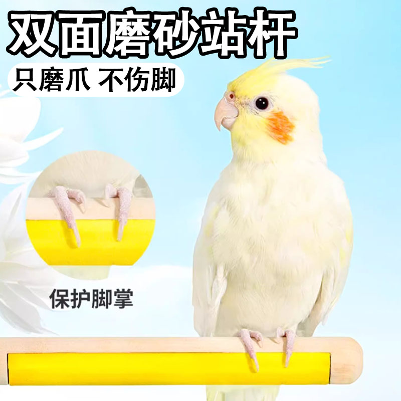 オウムの立つ棒 両面爪研磨棒 立つフレーム 黒鳳凰虎皮牡丹 噛むおもちゃ 鳥の立つ棒 鳥かごアクセサリー