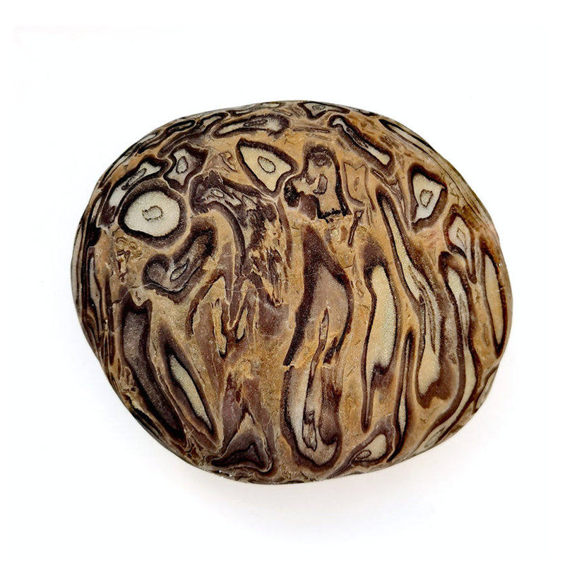 Yangtze River Stone Shikishi Shishi Tree Glow Wood Fossil Natural Boutique Pattern Stone Water Rushing Raw Stone Collection Three Gorges Rain Flower Stone-Taobao