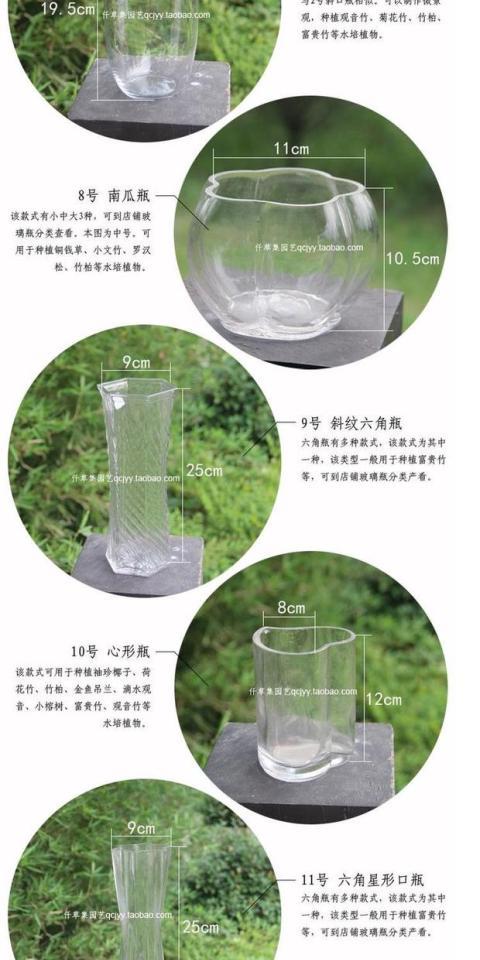 Guanyin tre xanh nước thủy canh bình ngỗng hình trứng tròn miệng chai thủy tinh trồng cây thủy canh chậu hoa bình nhỏ phong cách châu Âu - Vase / Bồn hoa & Kệ chậu nhựa trồng hoa