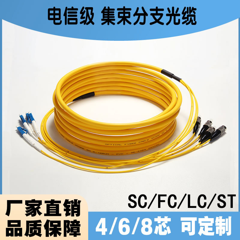 Fiber Optic Bundle Jumper Branch Cable 4/8/12 Core Bundle Tail Cable Fiber Optic Jumper Fc/Sc/Lc Telecom Grade Fiber Optic Bundle Jumper Branch Cable 4/8/12 Core Bundle Tail Cable Fiber Optic Jumper Fc/Sc/Lc Telecom Grade
