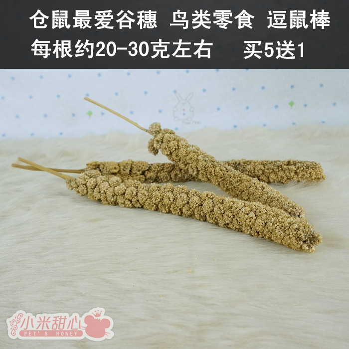 Hamster's favorite snacks natural valley ears teasing the rat stick birds snacks a piece of about 20 gr-40 gr