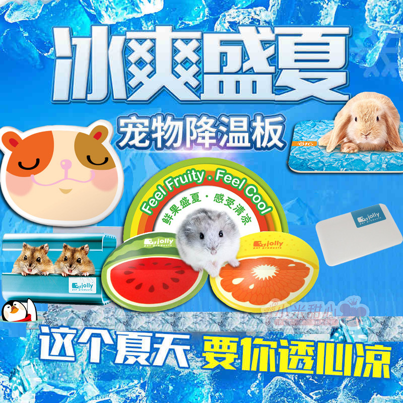 Hamster Heat SinkIng Board Rabbit Totoro Guinea Pig Pet Cooling Igloo Ice Pack Ice Box Ice Bed Cooling Summer Supplies