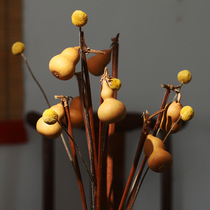 Natural auspicious gourds golden balls lucky dried flowers creative new Chinese-style home decorations porch branches ornaments