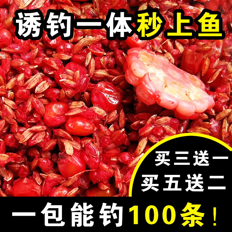 Chongqing Hechuan Yipin Gumai A shot to go to the world Gumai brothers wild fishing through killing bait fishing bait corn corn