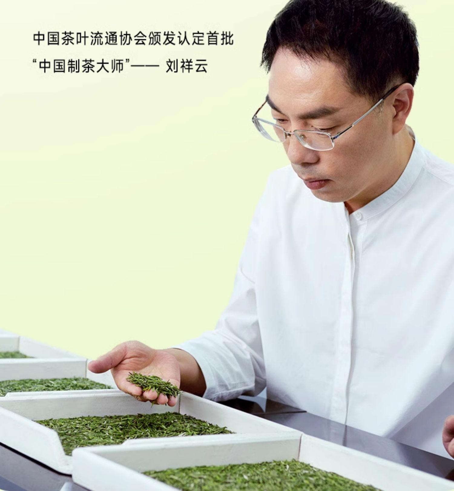 【中國直郵】竹葉青茶葉 25年峨眉高山綠茶 明前芽心特級 60g/盒