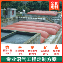 Complete set of biogas pool equipment for household new rural pig farm biogas storage bag red mud soft biogas fermentation bag