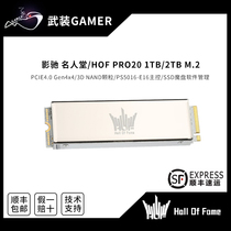 Photocopy Hall HOF PRO20 1T 500G M 2 PCIe 4 0 2280 SSD Solid State Disk