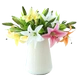 Mô phỏng Lily Hoa Frangipani Hoa Phòng khách Trang chủ Nội thất Trang trí Hoa Nhựa Hoa Lily Đơn Bình Hoa Sắp xếp - Hoa nhân tạo / Cây / Trái cây
