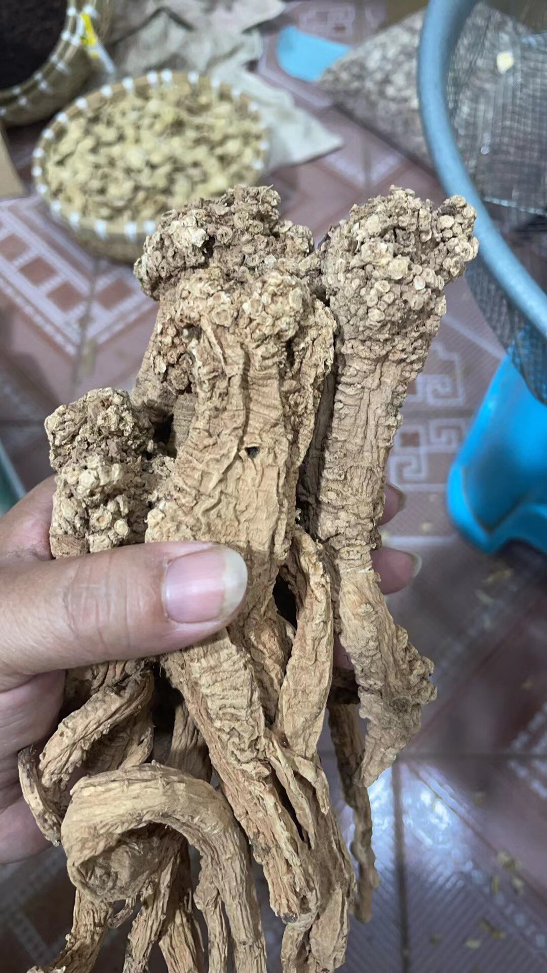 老刘家山货野货的LOGO