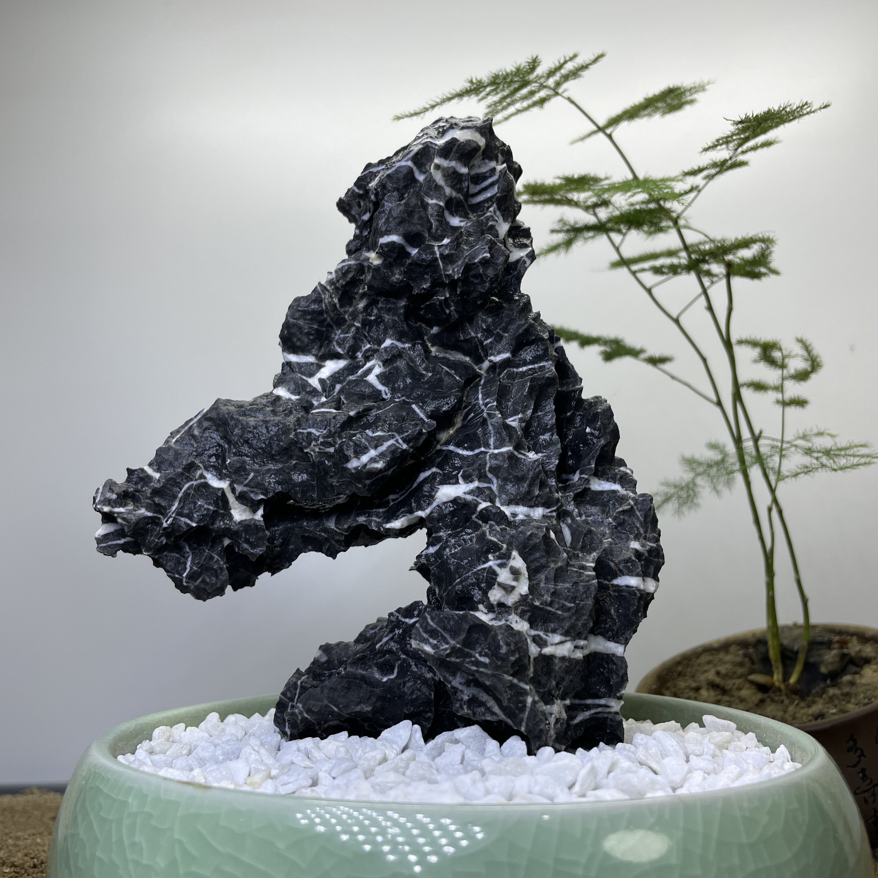 雅景园艺水族