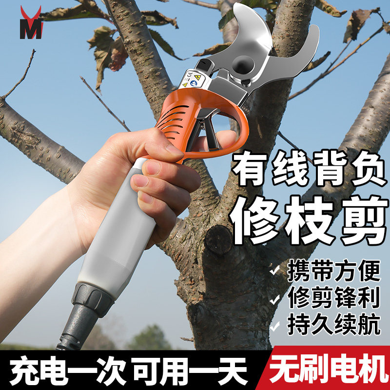 电动剪刀充电式园林修枝剪 | 强力电剪子刀，剪树神器，轻松搞定大枝条！💪🌿-剪刀-淘宝百科网