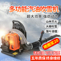 Wind fire extinguisher gasoline hair dryer fallen leaf artifact high-power fire extinguishing blower greenhouse snow blower backpack