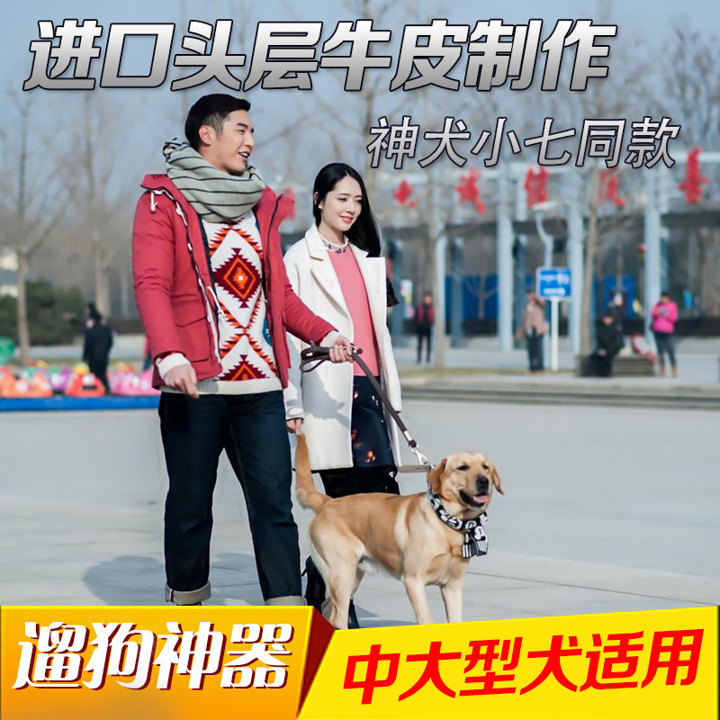 Shrine dog small seven cowskin dog traction rope suit real leather dog chain large dog gold Brador