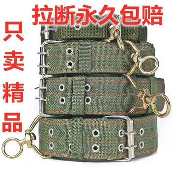 Large Dog Collar, Dog Collar, Neck Collar, Medium-Sized Dog Golden Retriever, German Shepherd, Malinois, Small Dog Neck Collar, Head Collar