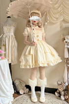 Full stock (light pistil) elegant Lolita autumn new lace cla dress