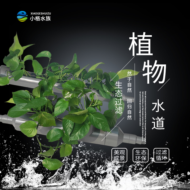 Plant waterway fish plant symbiosis ecological filter fish farming ecological swamp integrated circulation net hydroponic bacteria filter