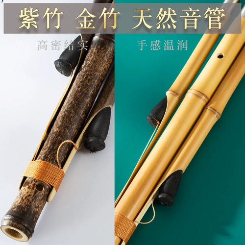 9 -Полея Джи -Конг тыква шелковой флагманский флагманский магазин шелковой флагман