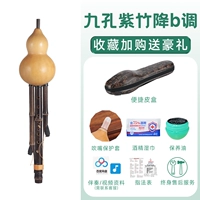 Девять -дыра уроженец -зоч