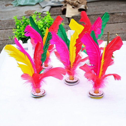 Большая фитнес -сестра -в трюк, куриные перья гусы