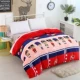 Flannel quilt cover mùa đông dày ấm đôi cộng với nhung tóc đơn nhung nhung một mặt