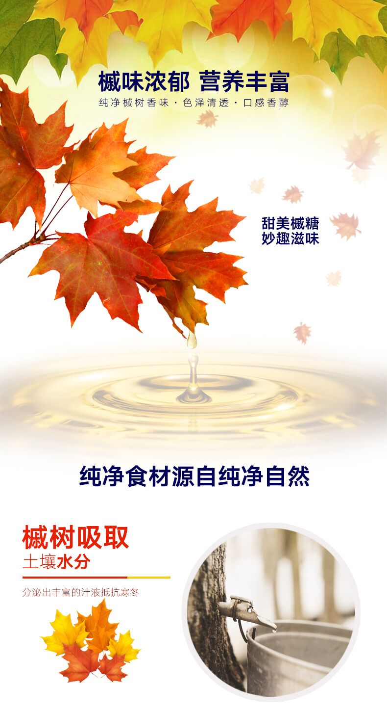 ALDI 奥乐齐 加拿大 槭树糖浆 250ml 图2
