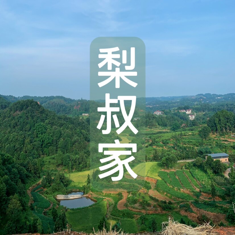 梨叔农家蔬菜水果四川土特产