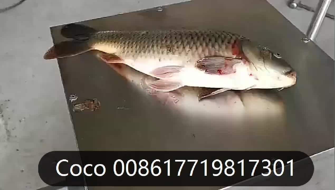 Commercial Fish Descaler Automatic Fish Fillet Machine Fish Killing