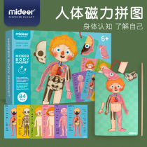 Miraffe Mideer Children Puzzle Puzzle Puzzle Toys Magnetic Body Structural Cognitive Jigsaw 5-year-old parent-child interaction