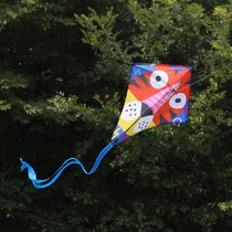 JoanMiro Merino Children Kite Handmade DIY Cartoon Kite Toy Breeze easy to fly with the kite line