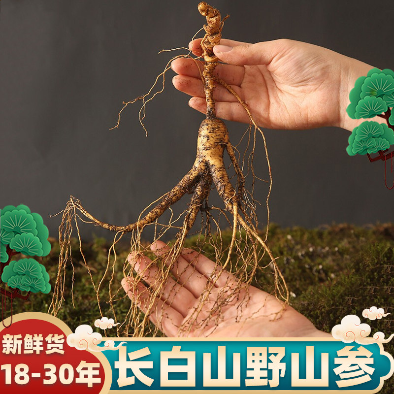 Fresh ginseng Changbai Mountain wild ginseng forest ginseng wine fresh ginseng gift box Northeast 30 years wild old man three seeds goods