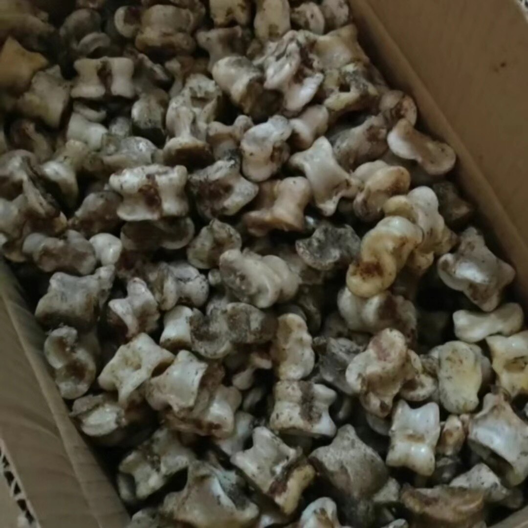 真羊嘎拉哈特價羊拐骨髀石嘎啦哈旮旯哈羊骨頭子懷舊包郵網紅傳統