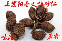 Huang Miaozai Amomum villosum fruit Yangchun authentique feu local rôti vieux Amomum villosum fruit ferme spécialité printemps Amomum villosum produits secs 250g