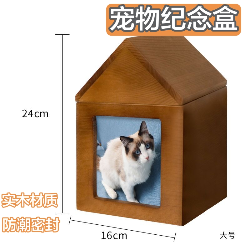 O1CN01SWR17W1PXLX3T5DWY_!!357551850.jpg