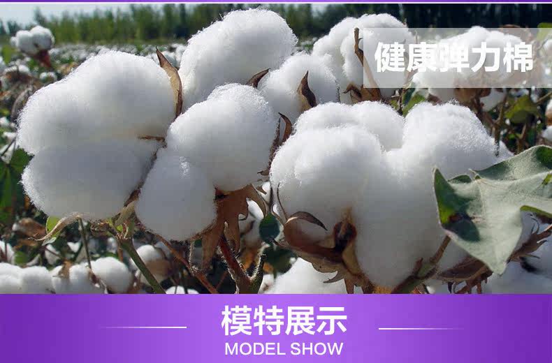 Slip jeunesse SXDZL006* en coton - Ref 642155 Image 13