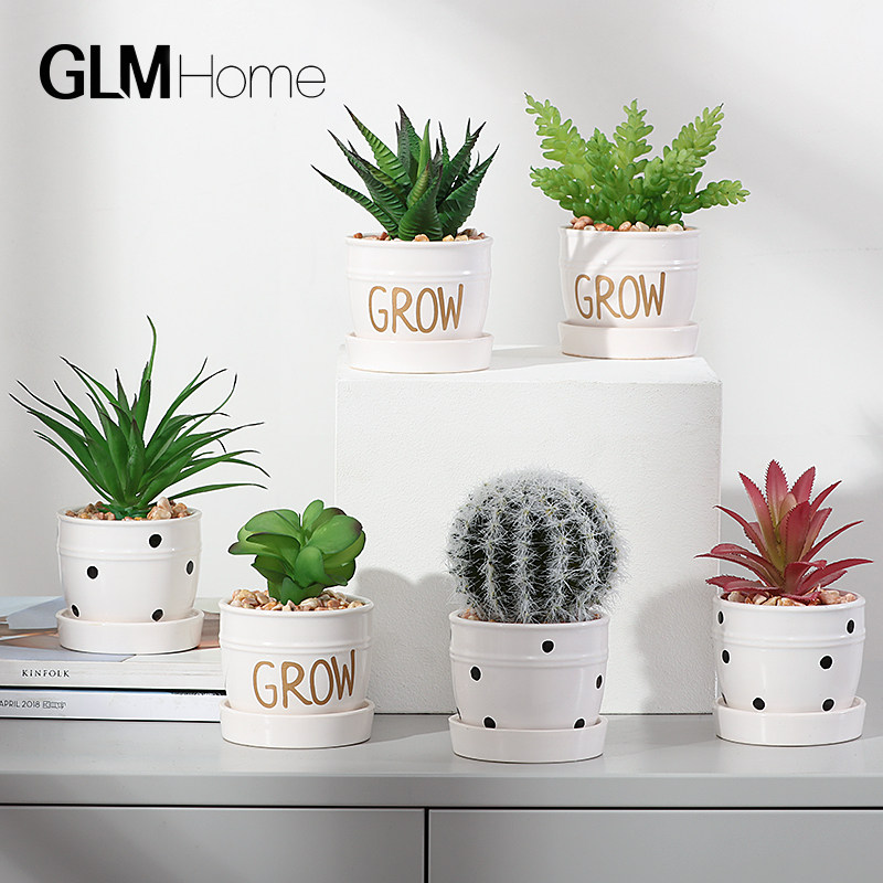 ins Nordic emulated multimeat plant cactus potted plant pendulum pieces living-room desktop creative fake flowers green plant small furnishing-Taobao