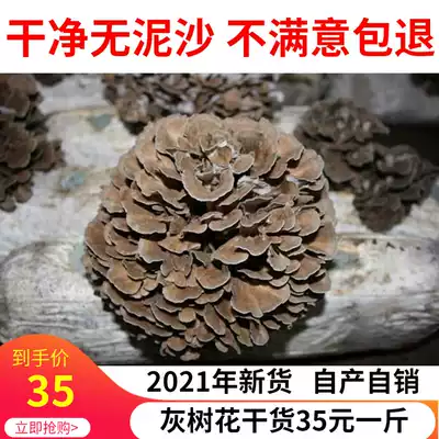 Qingyuan gray tree flower dry goods no sand ash tree mushroom tea mushroom tea chrysanthemum 500g chestnut mushroom fresh ash tree flower