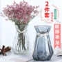 [Hai mảnh] Bình thủy tinh sáng tạo Bắc Âu màu trong suốt thủy canh cây lily phong phú hoa tre - Vase / Bồn hoa & Kệ chậu cây treo tường trong nhà