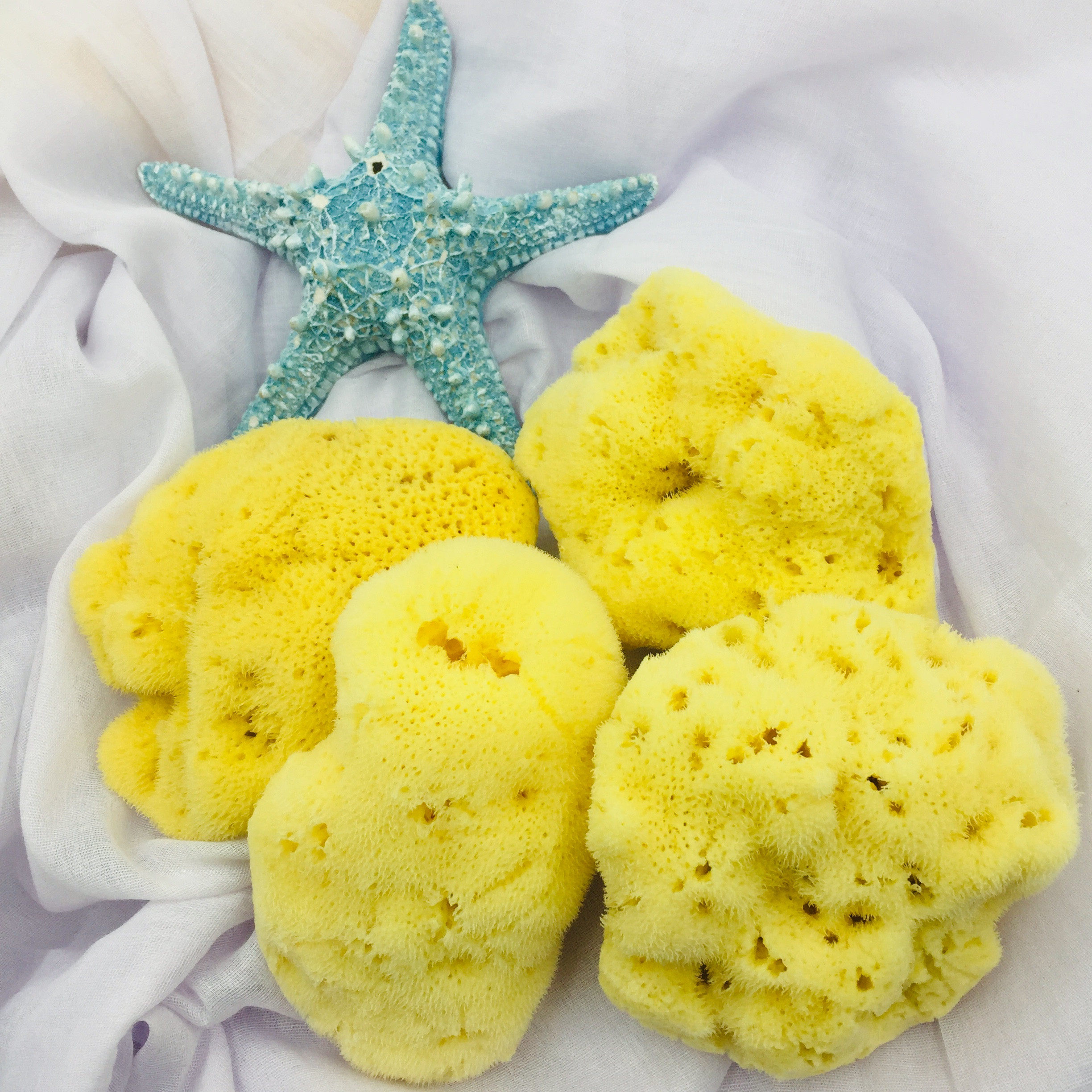 baby wash sponge