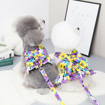 New pooch kitty bib Bear Teddy Traction Rope Vest Type Chest Harness Small Dog Walking Dog Rope Walking Cat Rope Cute