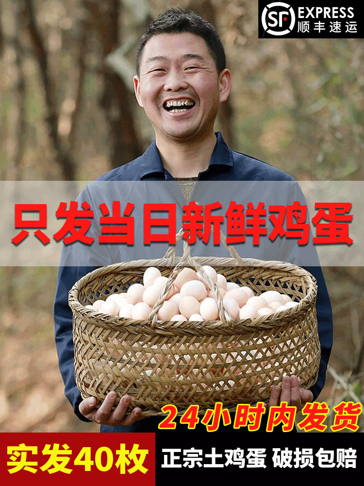 Authentic soil eggs farm free-range fresh pure rural self-raising natural 40 grass eggs Chai eggs Ben stupid eggs