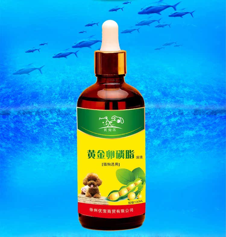 Chó lecithin teddy lông vàng làm đẹp bột thú cưng lecithin mèo con màu đen mũi sản phẩm sức khỏe tự nhiên sữa bột cho mèo