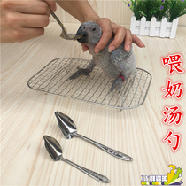 Bird feeder special milk spoon parrot milk powder feed hand-fed spoon parrot soup spoon hand raising young birds