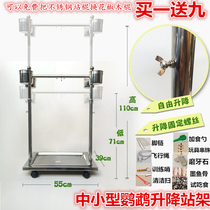 Golden Sun monk parrot small and medium-sized parrot stand stainless steel frame foot chain grinding claw stick Parrot bird stand