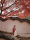 Peking Opera Costume for Solo Performance, High-End Wrinkled Fabric Embroidered Dress for the Role of Flower Girl, Ancient Costume for the Role of the Empress Drunk with Wine