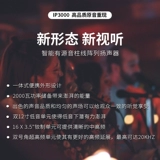 TurboSound/Treasure IP1000/3000 Активные полночастотные динамики Bluetooth Subwoofer Outdoor Performance