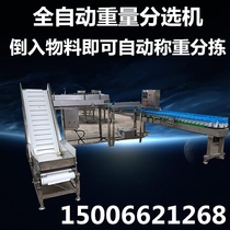 Oyster Sorter Automatic Weight Sorting Electronic Grading Avocado Weighing Sorter Oyster Sorting Machine