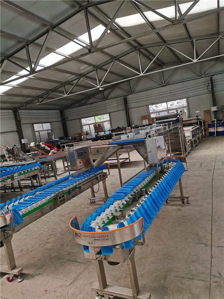 Vegetable sorting machine weighing machinery grading called orange fruit weight sorting machine assembly line size grouping machine