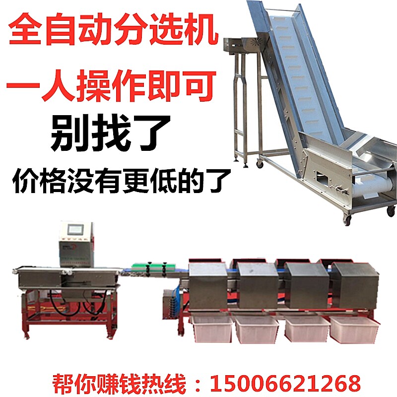 Oyster weight sorting machine Gastrodia fish automatic weighing machine Sea cucumber notoginseng grading specification size sorting machine