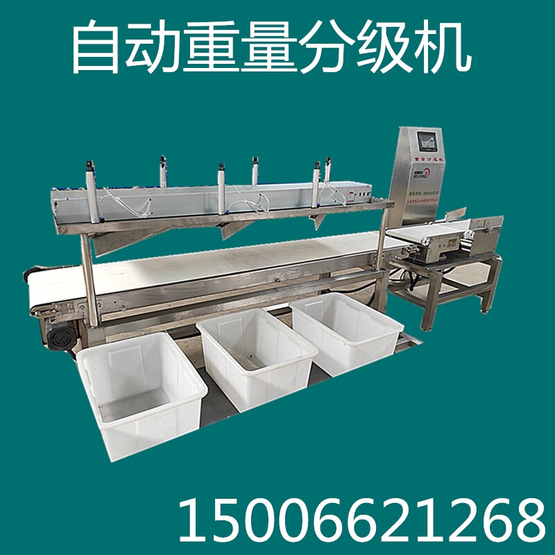 Chicken sorting scale belt type grading machine weight detection machine sorting machine poultry slaughter automatic weighing sorting machine